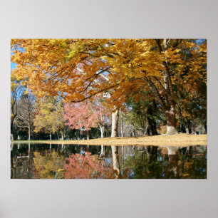 Poster Parc d'automne, étang