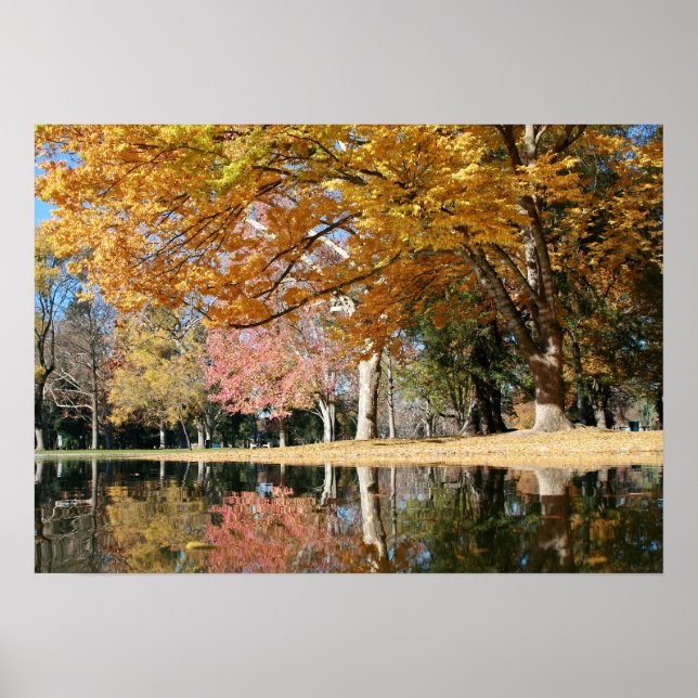Poster Parc d'automne, Pond (Devant)