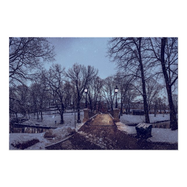 Poster Parc de la ville enneigée en hiver le soir (Devant)