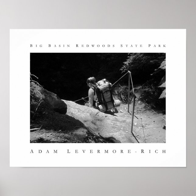 Poster Parc d'état de Big Basin Redwoods (Devant)