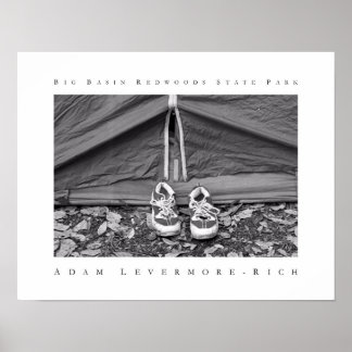 Poster Parc d'état de Big Basin Redwoods