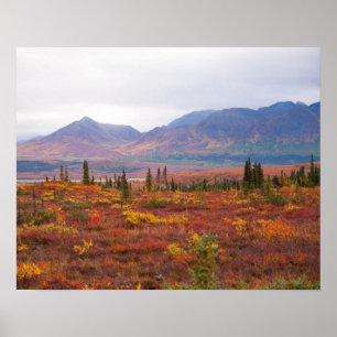 Poster Parc National De Denali, Alaska En Automne Pittore