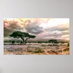 Poster Parc national de la savane du Sahara Serengeti
