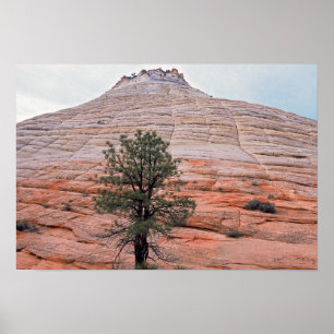 Poster Parc national de MESA Zion de damier
