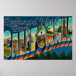 Poster Parc national de séquoia, la Californie