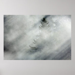 Poster Parc national olympique   Hoh River Valley