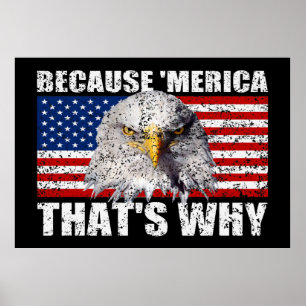 Poster PARCE QUE 'MERICA QUI EST POURQUOI l'affiche de