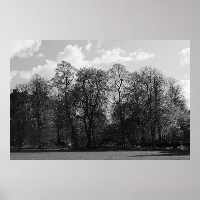Poster Park Landscape (Devant)