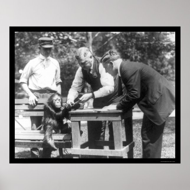 Poster Parler à Orangutan 1920 (Devant)