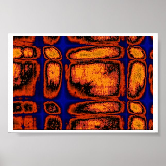 Poster paroi cellulaire (Devant)