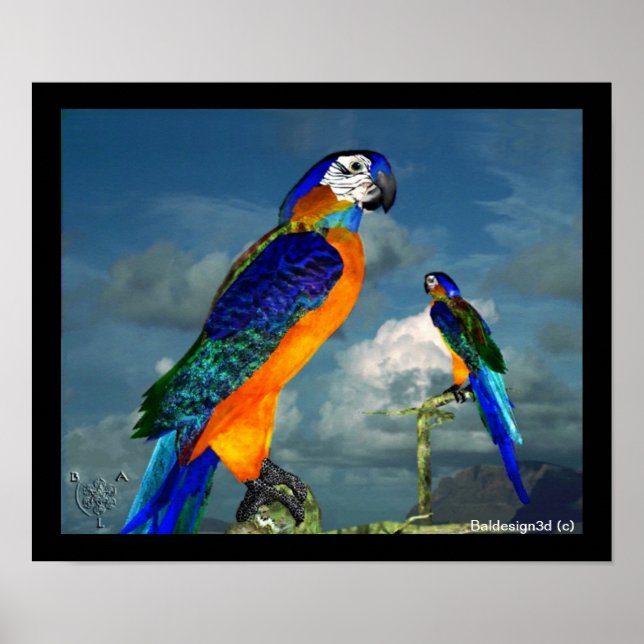 POSTER PARROS HYPER / BLEUE ARA (Devant)