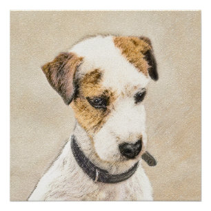 Poster Parson Jack Russell Terrier Peinture - Chien Art