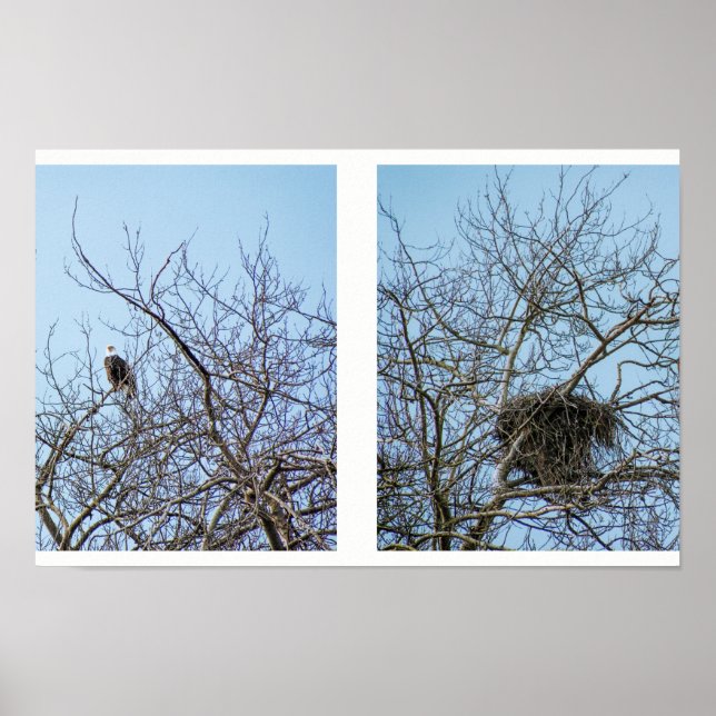Poster Partenaires de vie (Devant)