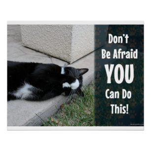 Poster Pas besoin d'avoir peur Motivational Cat Cote