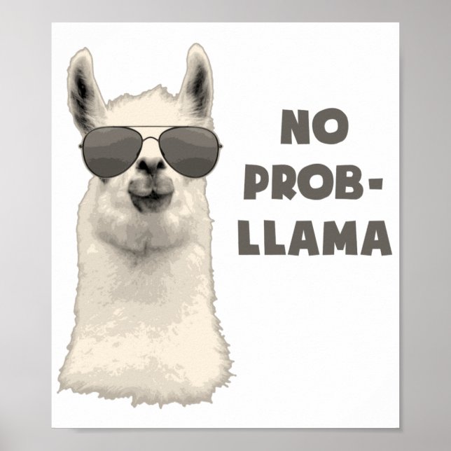 Poster Pas de problème Llama (Devant)