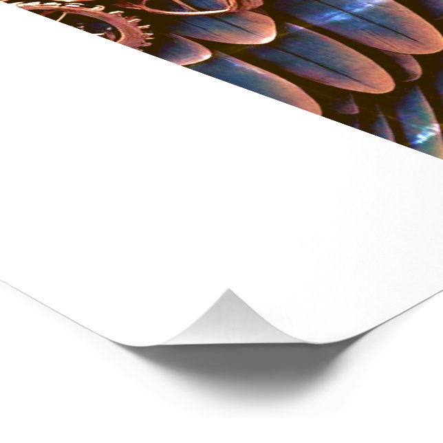 POSTER PASSÁRO GUARDIÃO (Coin)