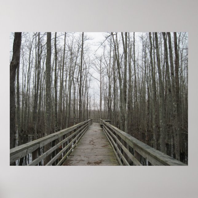 Poster Pathway Through the Wilderness (Devant)