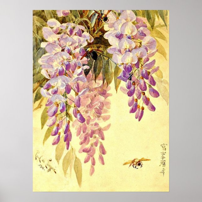 Poster Paul de Longpre Fleurs et abeilles violette (Devant)