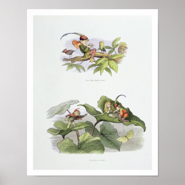 Poster Pauvre petite Birdie taquiné, et Courtship coupé c (Devant)