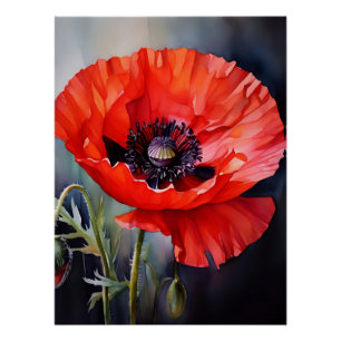Poster Pavot rouge vif avec centre foncé