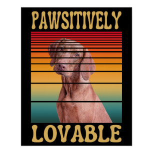 POSTER PAWSITIVEMENT AMOUREUX