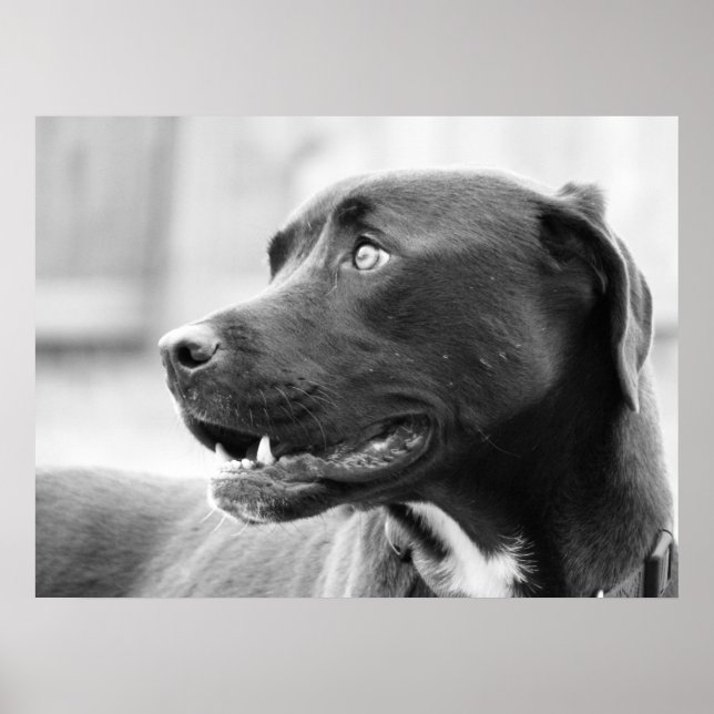 Poster Payer attention (Devant)