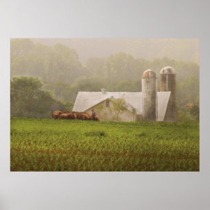 Poster Pays - Agriculture Amish