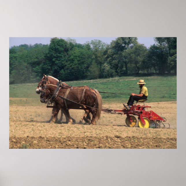 Poster Pays Amish des gens simples dans l'agriculture ave (Devant)