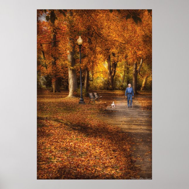 Poster Pays - Une promenade dans le parc (Devant)