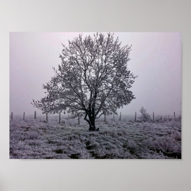 Poster Paysage d'arbre hivernal (Devant)