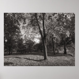 Poster Paysage d'automne Bute Park Cardiff