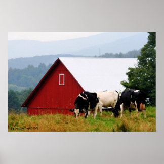 Poster Paysage de la ferme à vache Imprimer