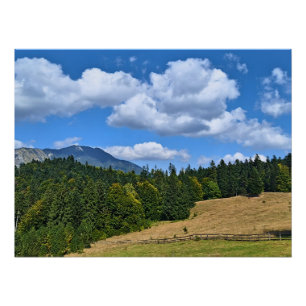 Poster Paysage de prairie de montagne - Nature sauvage Ro