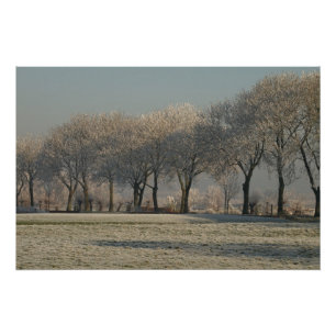 Poster Paysage d'hiver