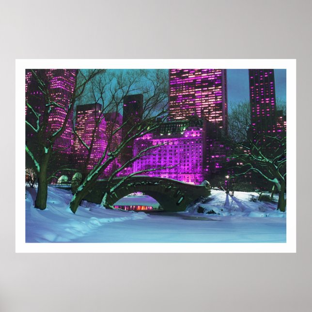 Poster Paysage d'hiver Central Park New York (Devant)