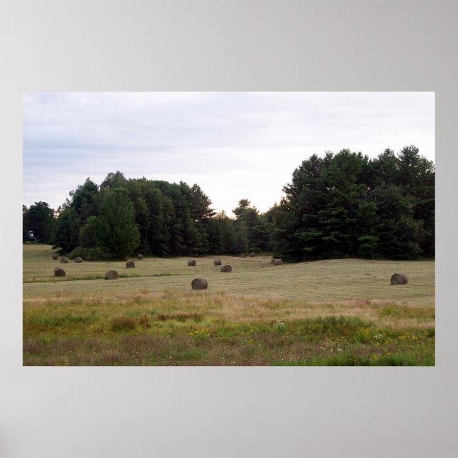 Poster Paysage du Maine (Devant)