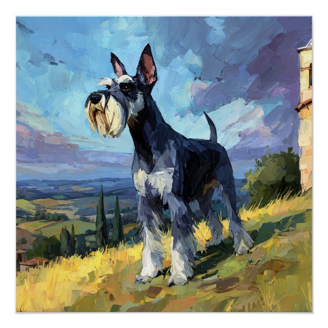 Poster Paysage ensoleillé de campagne avec un Schnauzer - (Devant)