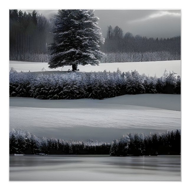 Poster Paysage et arbre d'hiver, noir et blanc - art (Devant)