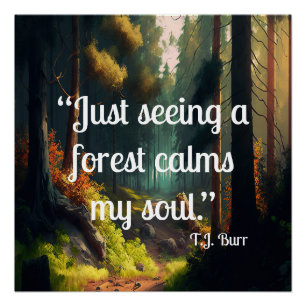 Poster Paysage forestier