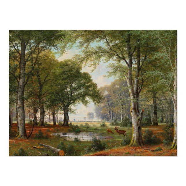 Poster Paysage forestier du soir (Devant)