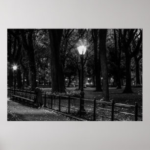 Poster Paysage noir et blanc Photo de Central Park