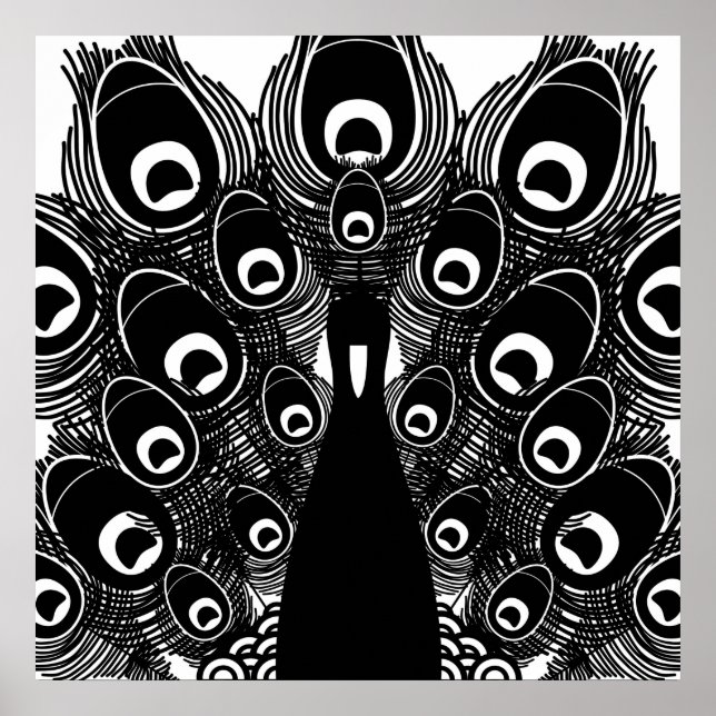 Poster Peacock (Devant)