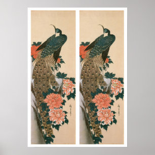 Poster Peacock and Peonies de Hiroshige, Art japonais