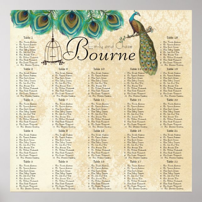 Poster Peacock Feather Bird Cage Reception Carte de siège (Devant)
