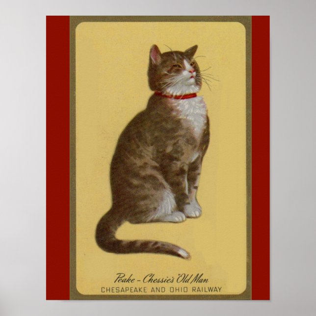 Poster Peake, Chessie’s Old Man tomcat tabby cat (Devant)
