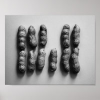 Peanuts Still Life Fine Art Photographie