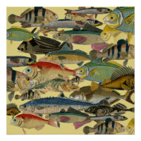Pêcheur Pêcheur En Mer Profonde Pêche Exotique Tro