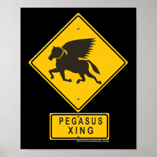 Poster Pegasus XING