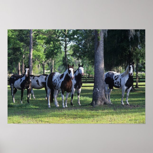 Poster Peindre les chevaux dans les arbres (Devant)