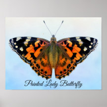 Poster Peint Papillon Lady Aquarelle Peinture